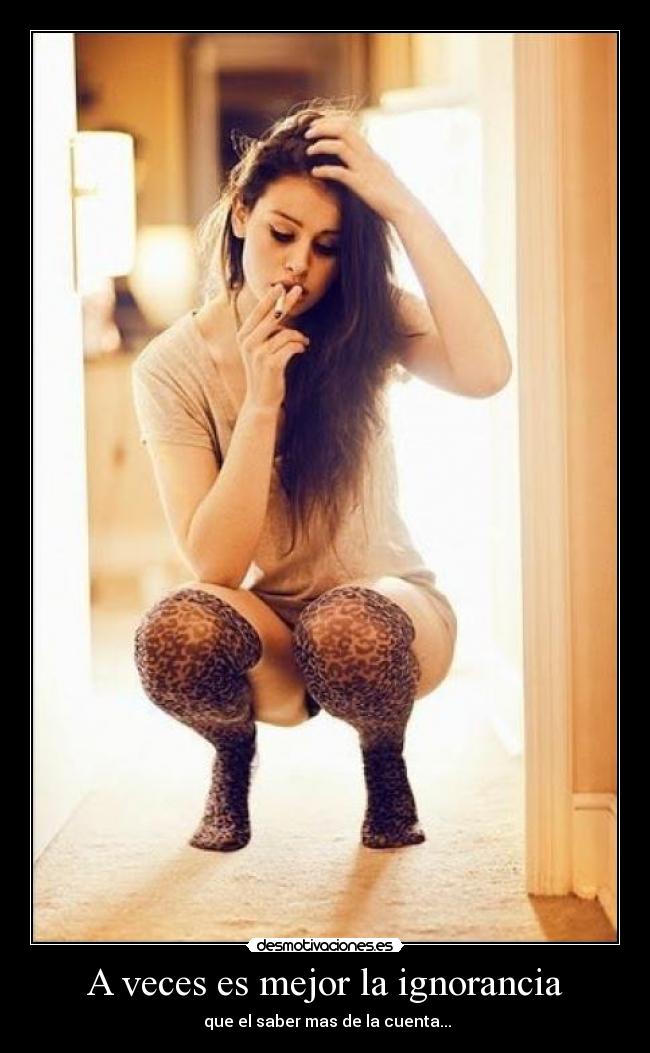 carteles ignorancia adfgetry desmotivaciones