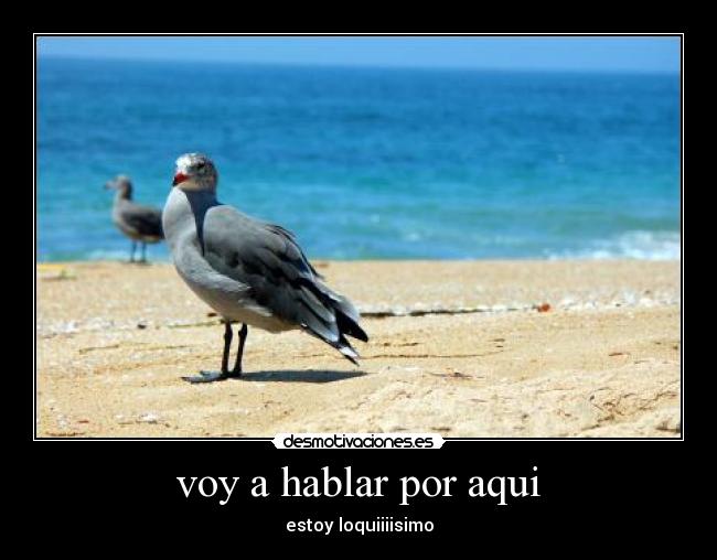 voy a hablar por aqui - estoy loquiiiisimo