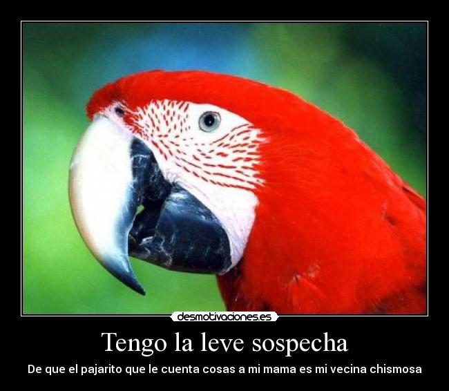 carteles escribir etiqueta escribir etiqueta hay esta dilema desmotivaciones