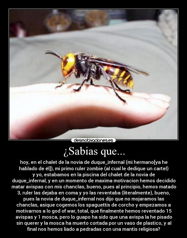 carteles vota positivo picaran desmotivaciones