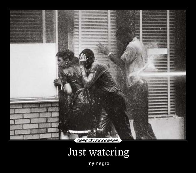 Just watering - my negro
