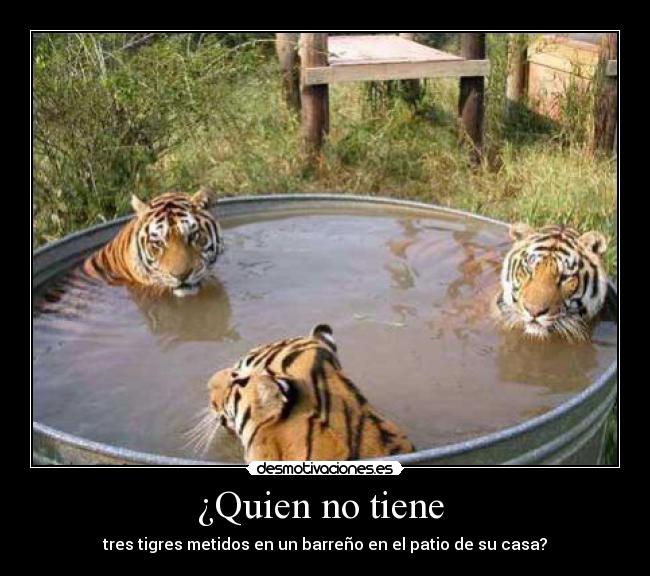 ¿Quien no tiene - tres tigres metidos en un barreño en el patio de su casa?
