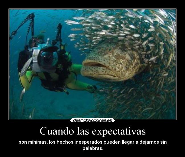 Cuando las expectativas - son mínimas, los hechos inesperados pueden llegar a dejarnos sin palabras.