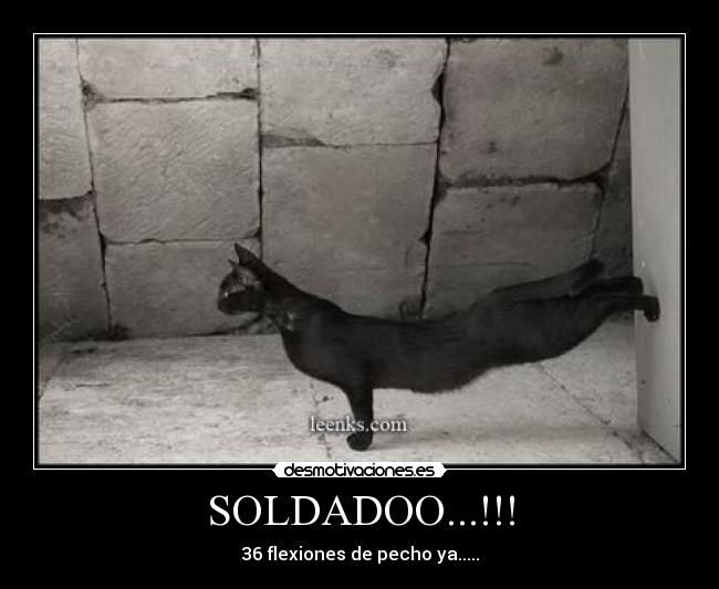 SOLDADOO...!!! - 