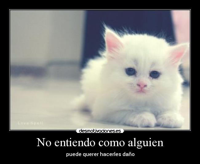 No entiendo como alguien - 