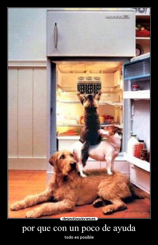 por que con un poco de ayuda - todo es posible