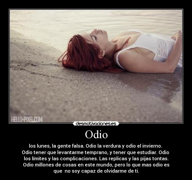 Odio - los lunes, la gente falsa. Odio la verdura y odio el invierno.
Odio tener que levantarme temprano, y tener que estudiar. Odio
los límites y las complicaciones. Las replicas y las pijas tontas.
Odio millones de cosas en este mundo, pero lo que mas odio es
que no soy capaz de olvidarme de ti.