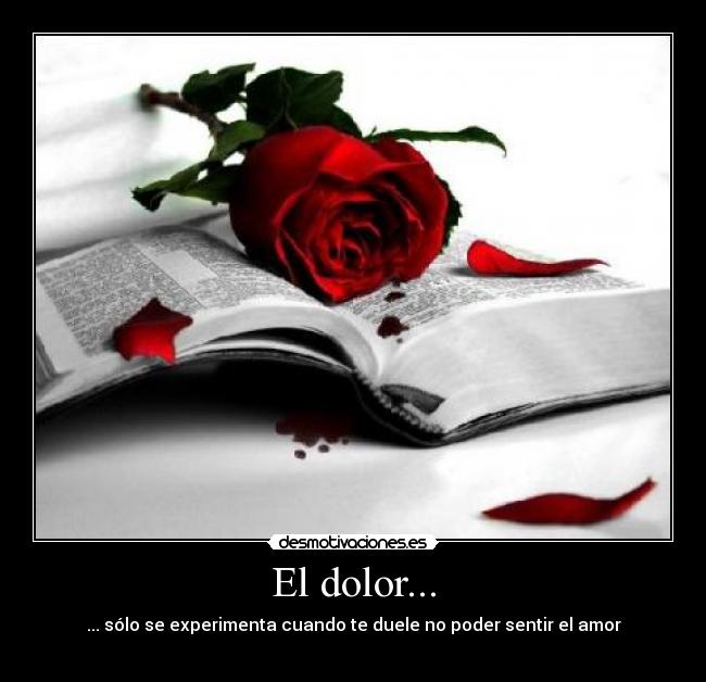 El dolor... - ... sólo se experimenta cuando te duele no poder sentir el amor
