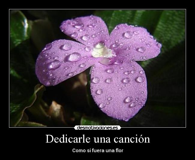 Dedicarle una canción - 