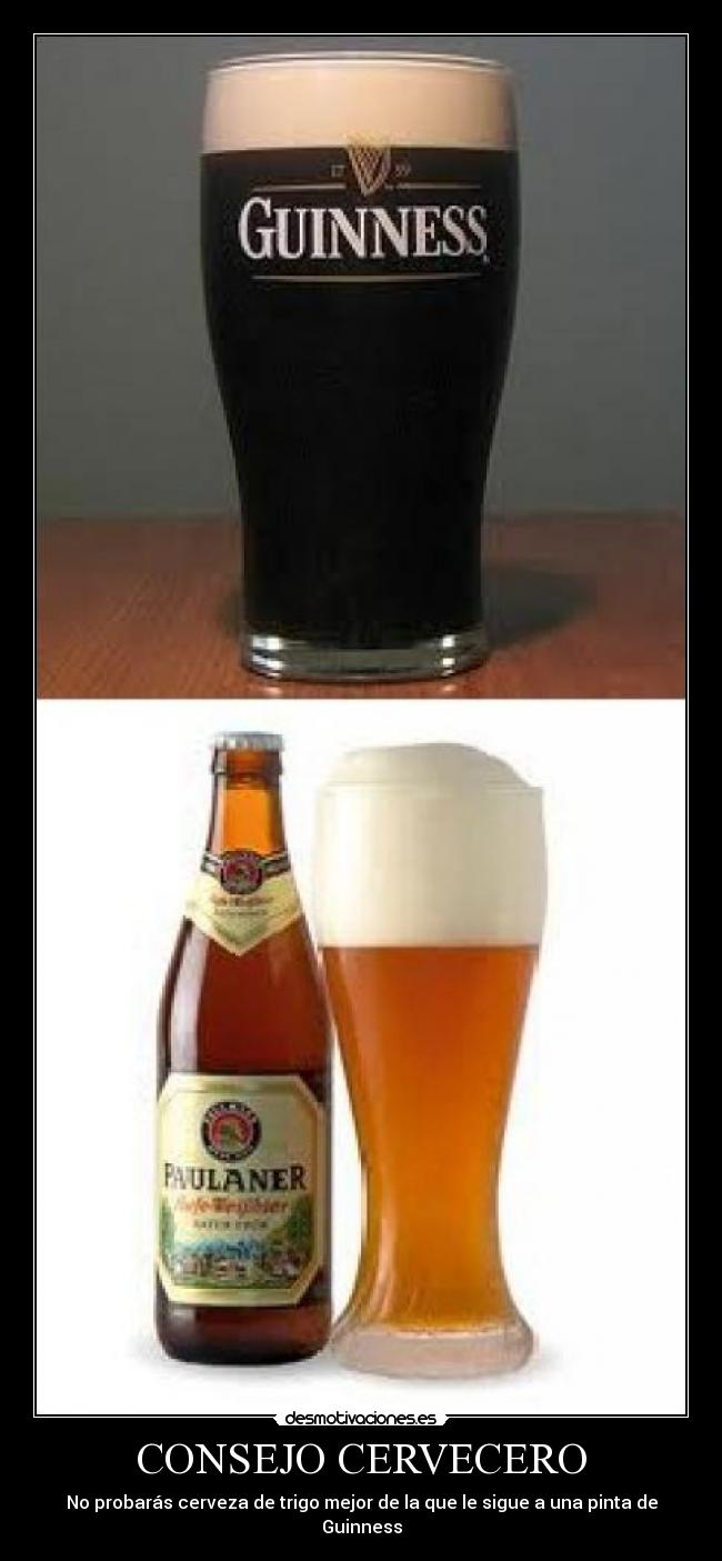 CONSEJO CERVECERO - No probarás cerveza de trigo mejor de la que le sigue a una pinta de Guinness