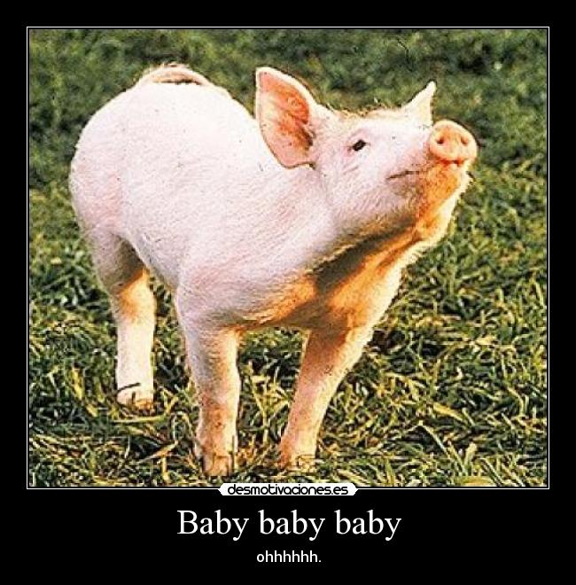 carteles verano desmotivaciones