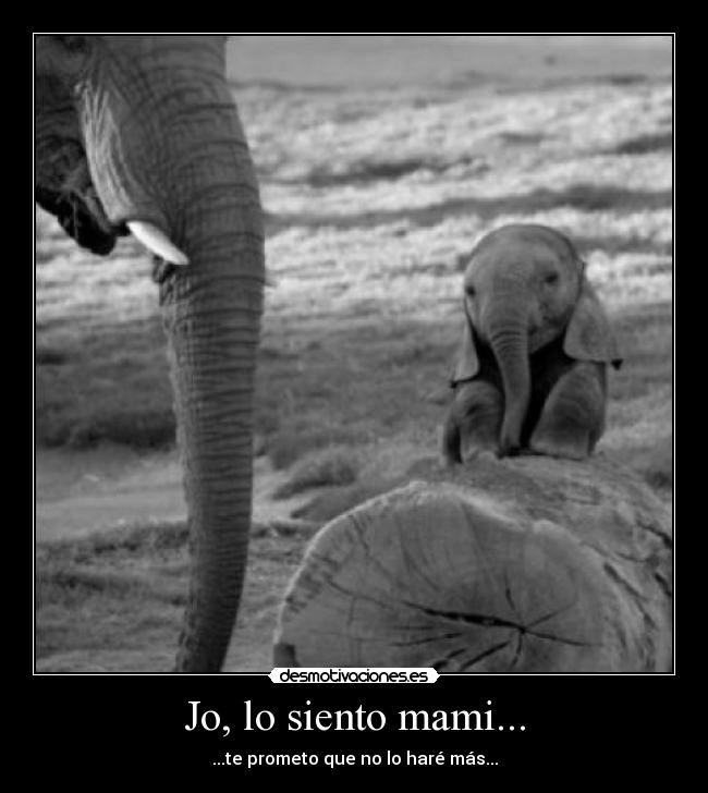 carteles bebe elefante okay desmotivaciones