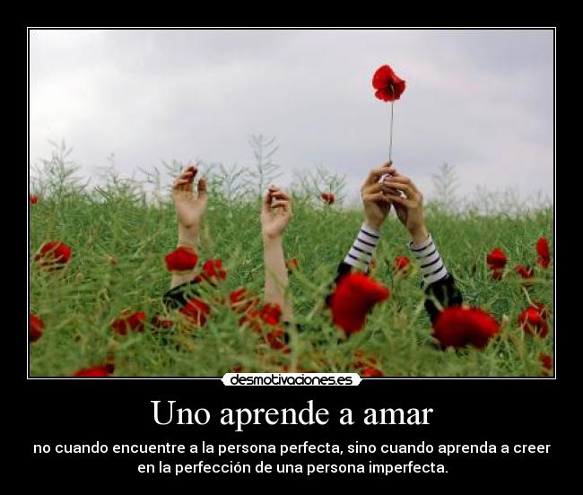 carteles aparende amar desmotivaciones