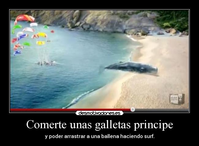 Comerte unas galletas principe -