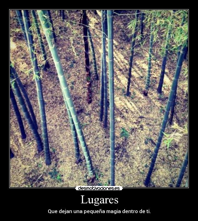 Lugares -
