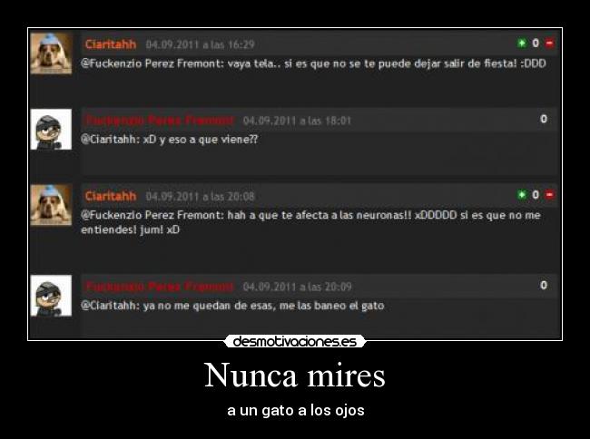 carteles mas gilipolleces nocturnas gato fuera desmotivaciones