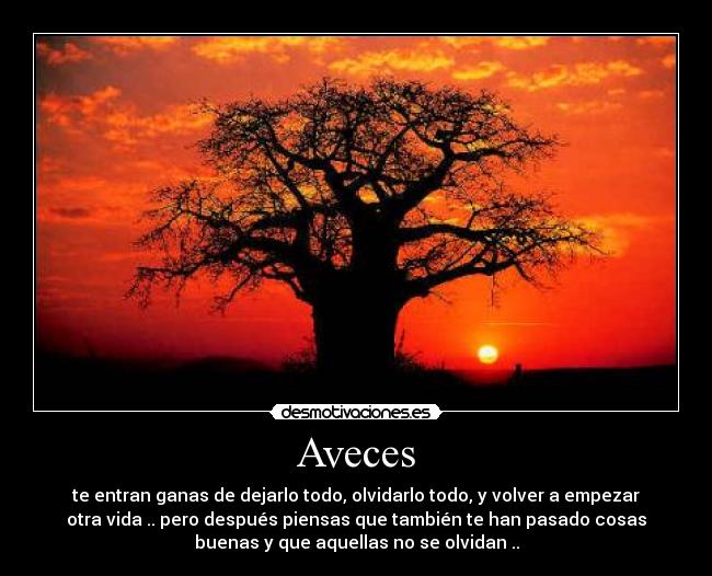 Aveces - 