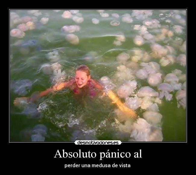 Absoluto pánico al - perder una medusa de vista