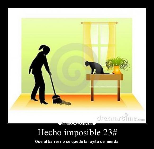 Hecho imposible 23# - Que al barrer no se quede la rayita de mierda.