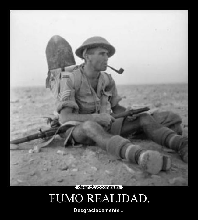 FUMO REALIDAD. - 