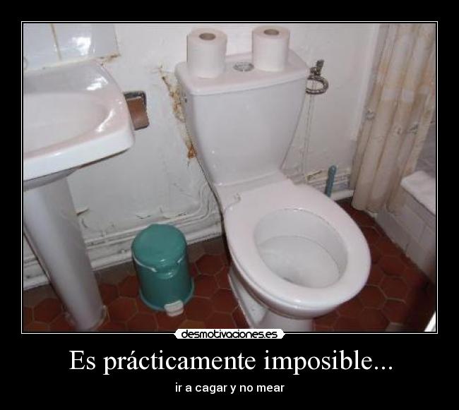 carteles imposible siempre que cagas meas desmotivaciones