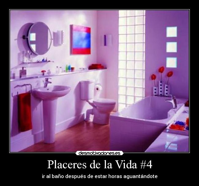 Placeres de la Vida #4 - ir al baño después de estar horas aguantándote