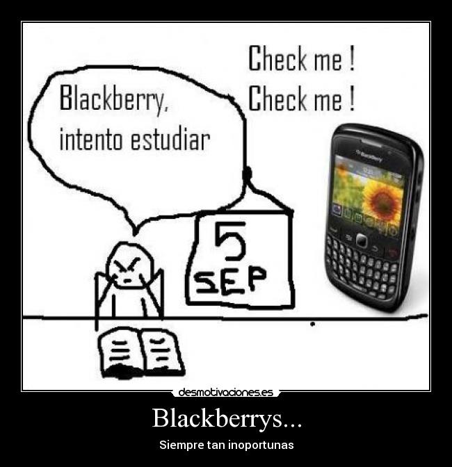 Blackberrys... -