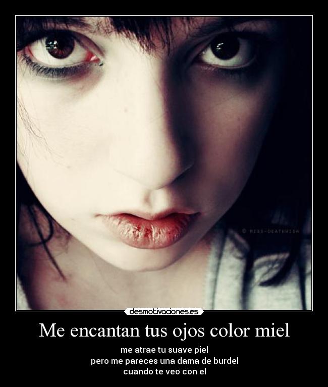 Me encantan tus ojos color miel -