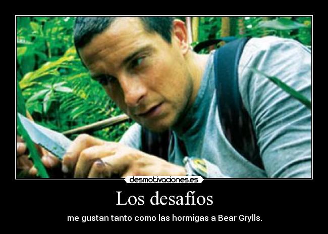 Los desafíos - 