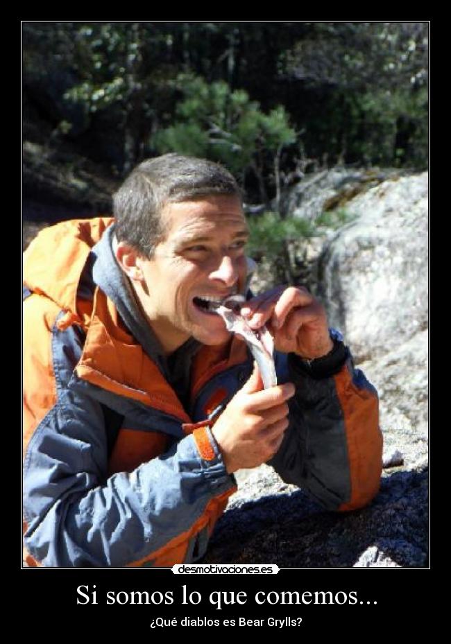 Si somos lo que comemos... - ¿Qué diablos es Bear Grylls?