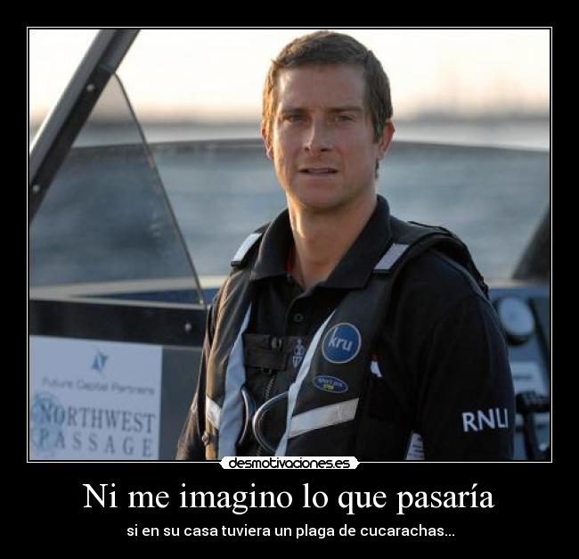 carteles cucarachas comer desmotivaciones