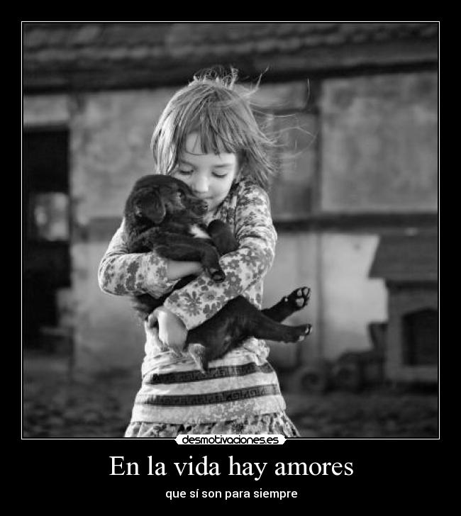 En la vida hay amores - que sí son para siempre