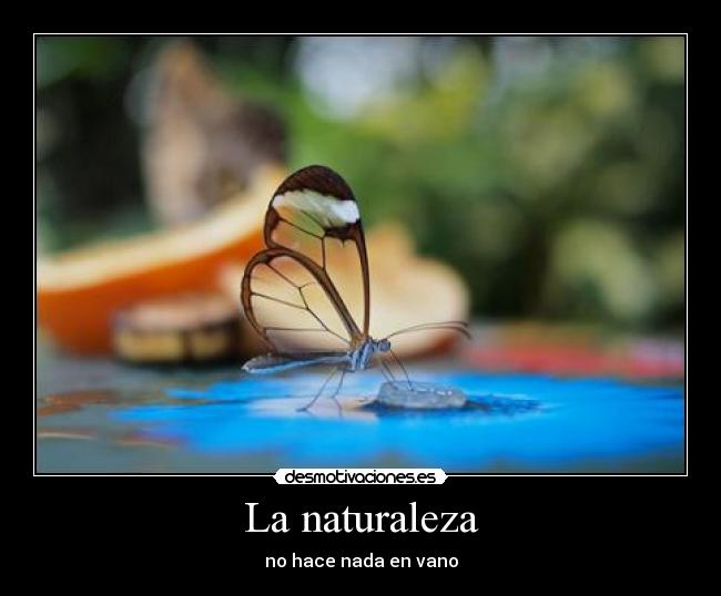 La naturaleza -