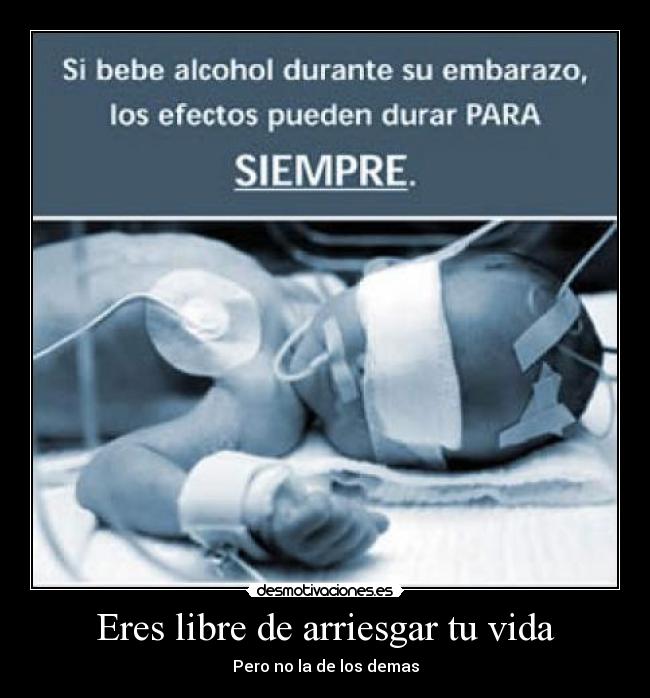 Eres libre de arriesgar tu vida - Pero no la de los demas