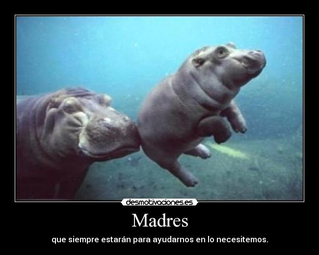 Madres - que siempre estarán para ayudarnos en lo necesitemos.