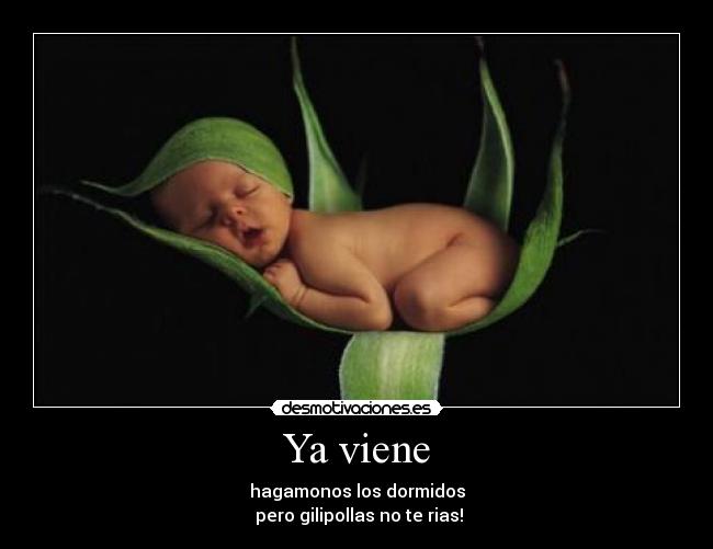Ya viene - hagamonos los dormidos
pero gilipollas no te rias!