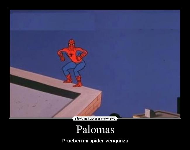 Palomas - Prueben mi spider-venganza