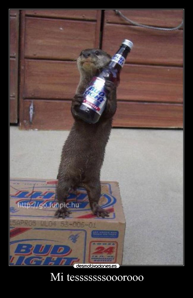 Mi tesssssssooorooo -