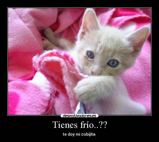 Tienes frío..?? - te doy mi cobijita 