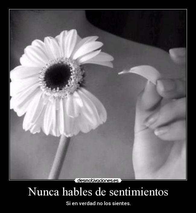 Nunca hables de sentimientos -