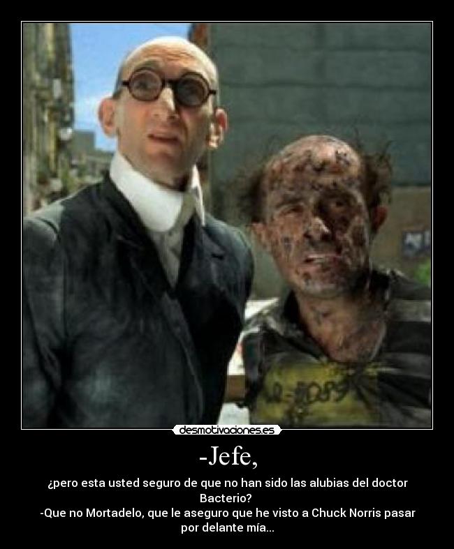 -Jefe, - 