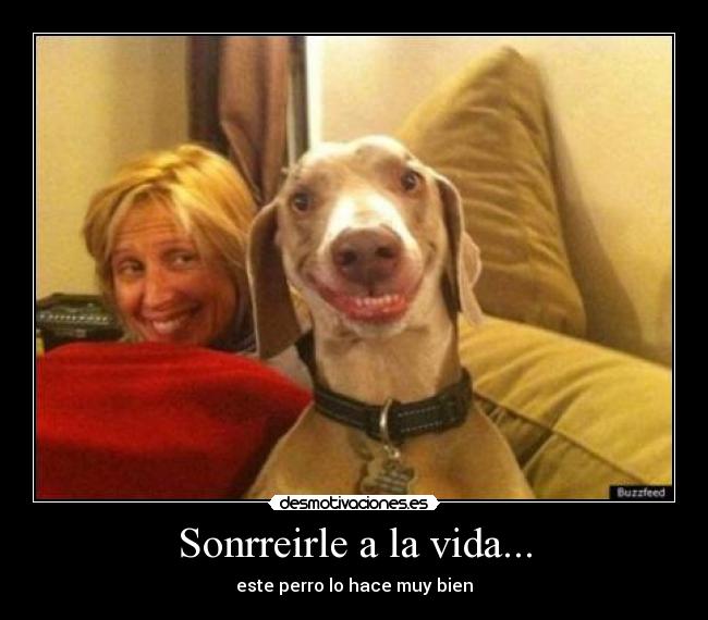 Sonrreirle a la vida... -