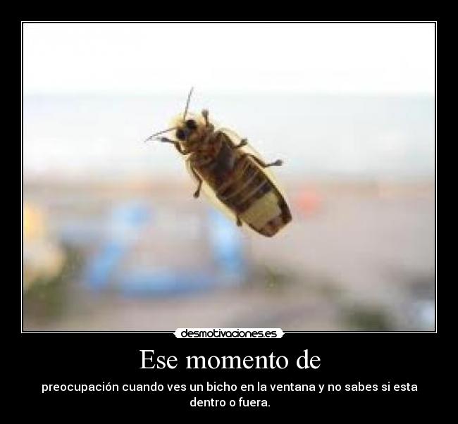 Ese momento de - preocupación cuando ves un bicho en la ventana y no sabes si esta dentro o fuera.