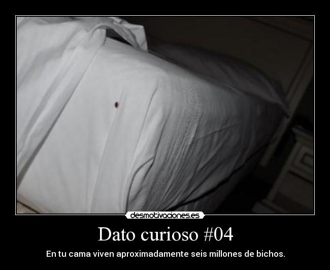 Dato curioso #04 - En tu cama viven aproximadamente seis millones de bichos.