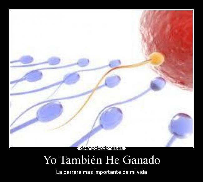 carteles silver99 carrera desmotivaciones