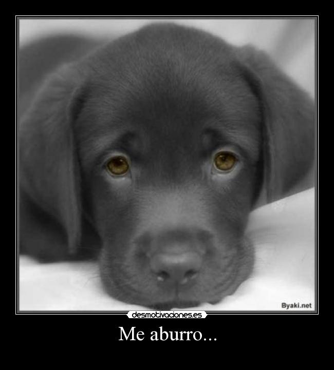 Me aburro... - 