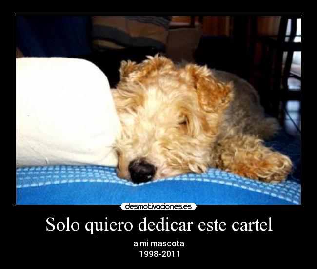 Solo quiero dedicar este cartel - 