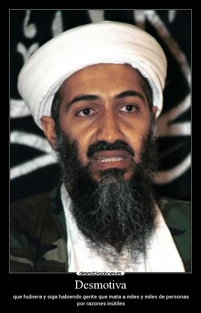 carteles bin laden died desmotivaciones