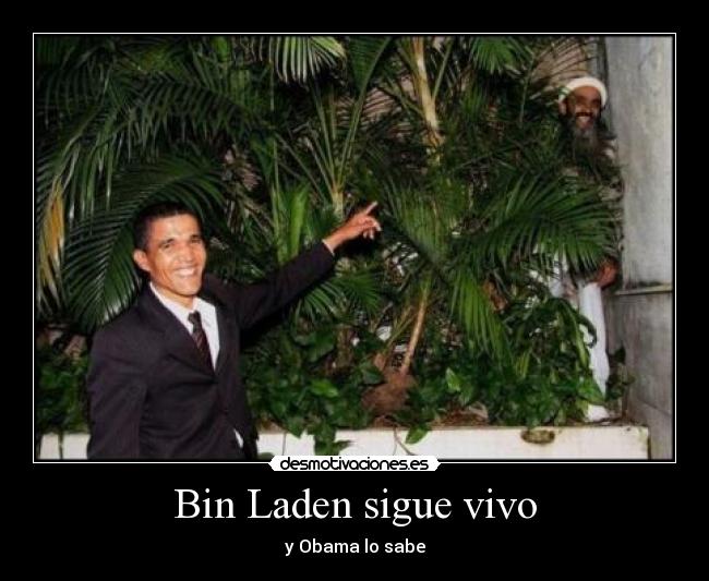 Bin Laden sigue vivo -