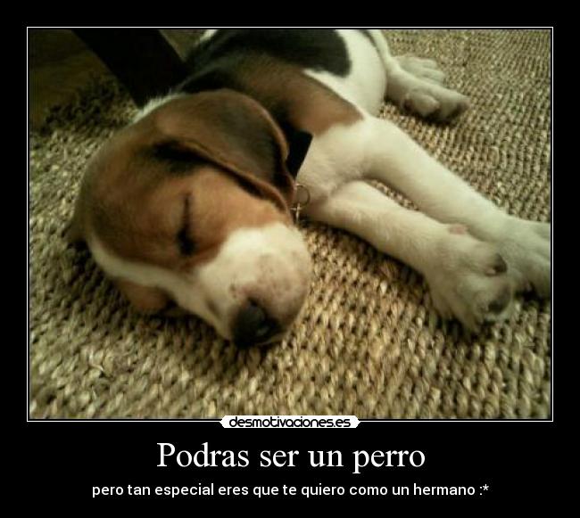 Podras ser un perro -